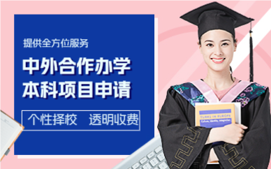 杭州中外合作办学本科项目申请