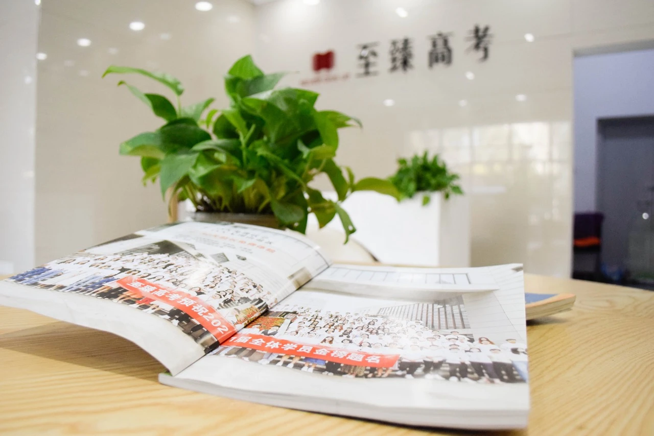 接待区 — 温暖有序的迎宾空间，体现专业与温度