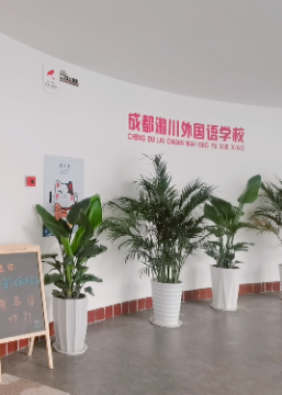 成都濑川外国语培训机构