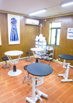 上海鑫艺宠物美容培训中心