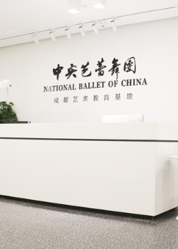 成都中央芭蕾舞团中芭艺蕾培训中心