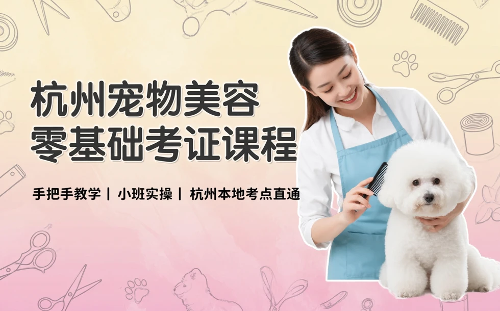 杭州宠物美容零基础考证课程