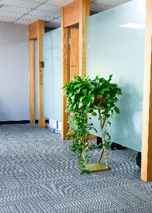 杭州华科卓越教育服务中心