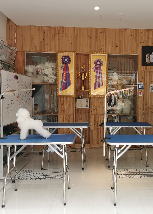 杭州谷艺宠物美容培训中心