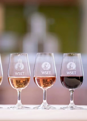 杭州978葡萄酒学校