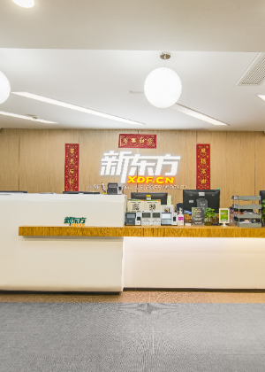 南京新东方国际教育培训中心