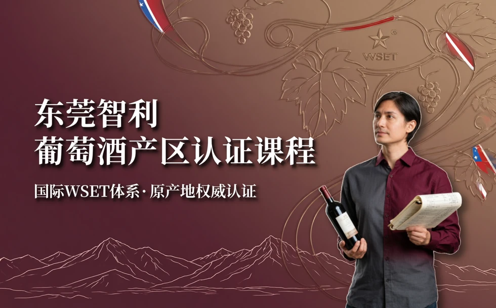 东莞智利葡萄酒产区认证课程