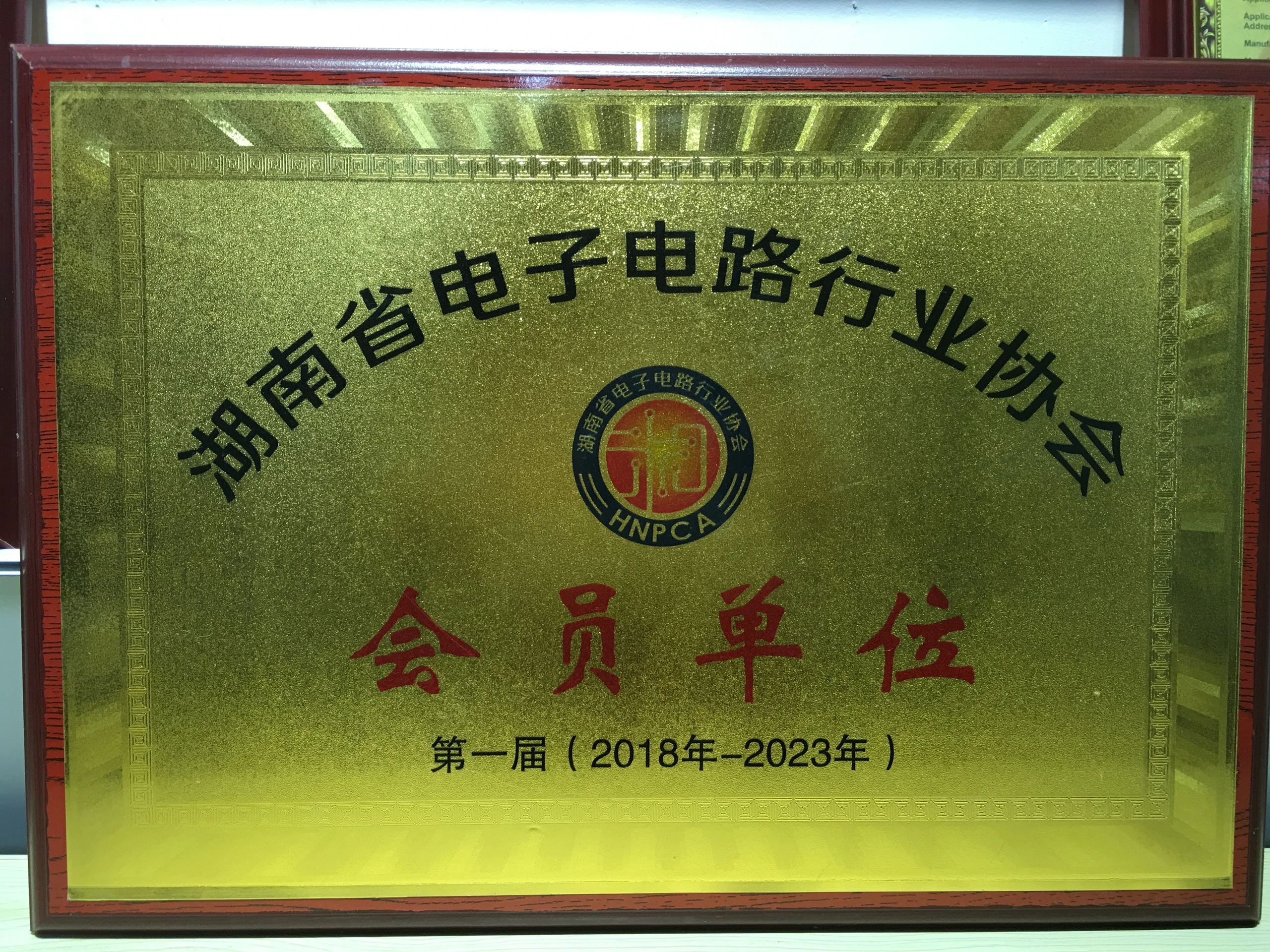 湖南省电子电路行业协会