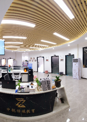 东莞中视传媒艺考培训中心