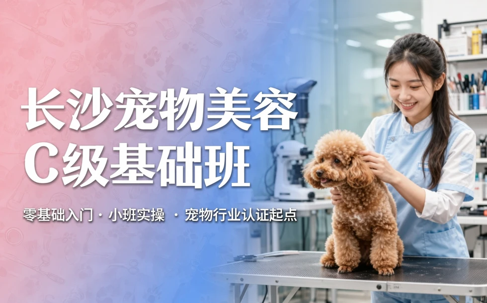 长沙宠物美容C级基础培训班