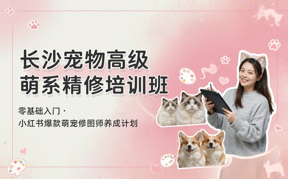 长沙宠物高级萌系精修培训班