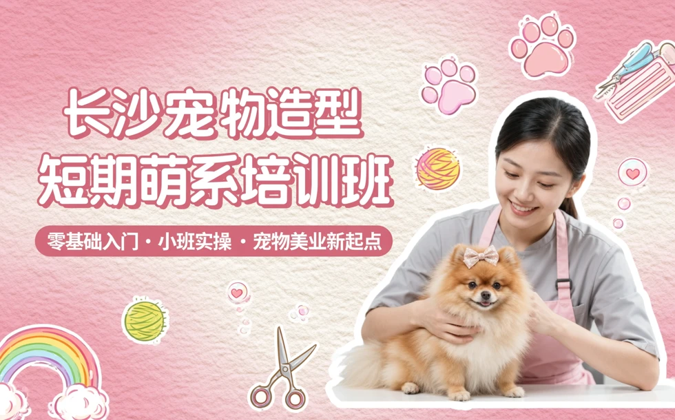 长沙宠物造型短期萌系培训班