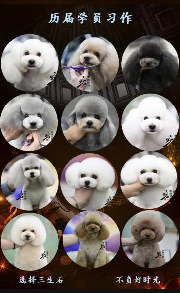 学员作品