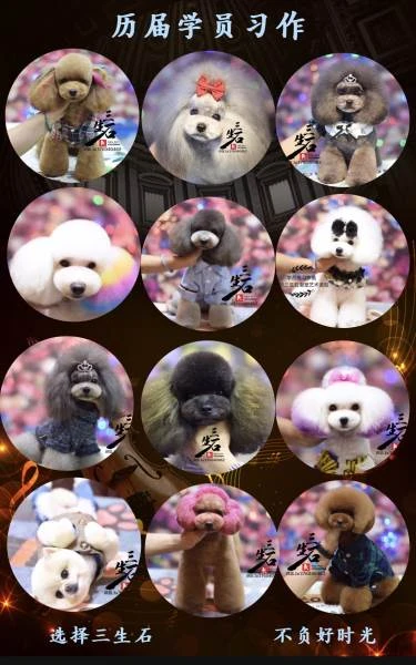 学员作品
