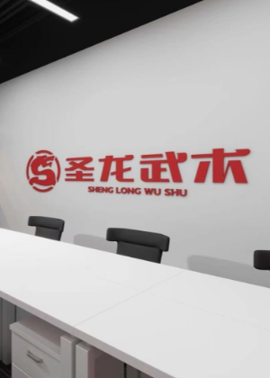 武汉圣龙武术培训中心