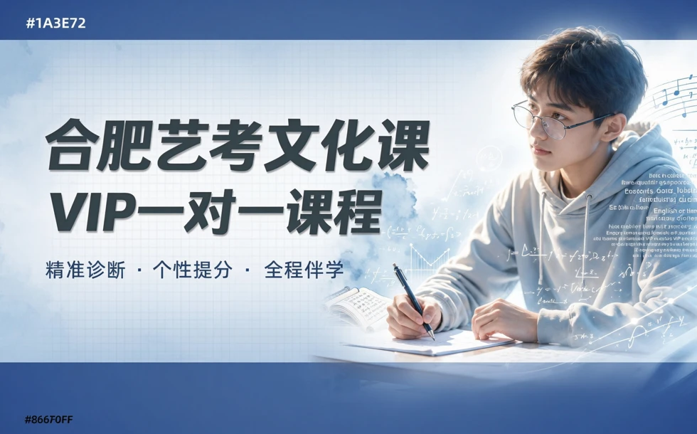 合肥艺考文化课VIP一对一课程