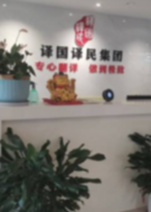 武汉译国译民教育机构