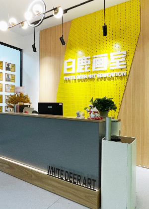合肥白鹿美术教育