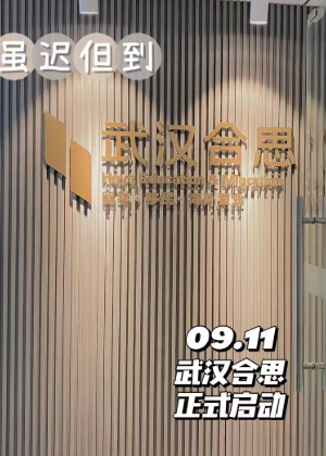 武汉合思留学咨询服务中心