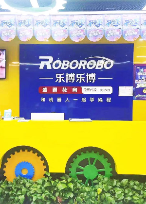 合肥乐博乐博科技教育