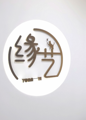 武汉缘艺艺术教育