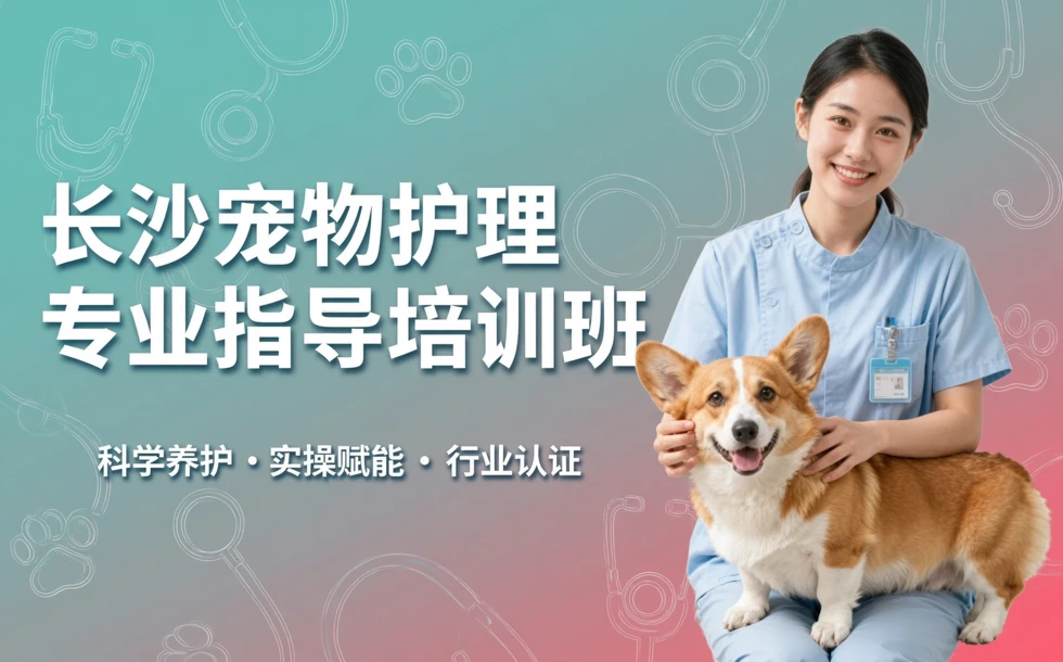 长沙宠物护理专业指导培训班