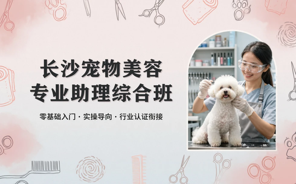长沙宠物美容专业助理综合班