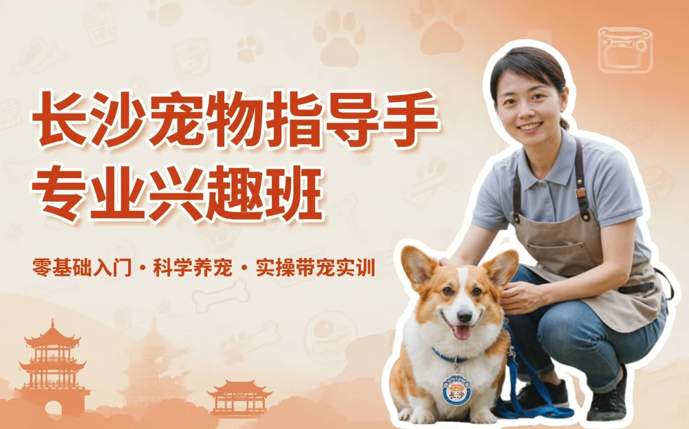 长沙宠物指导手专业兴趣班