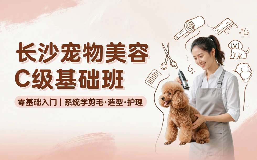 长沙宠物美容C级基础班