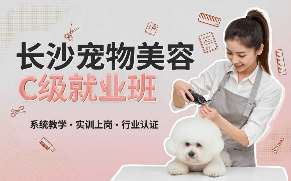 长沙宠物美容C级就业班
