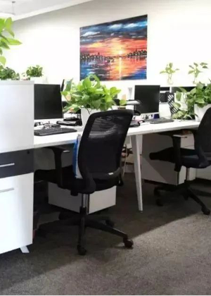 合肥上元职业培训机构