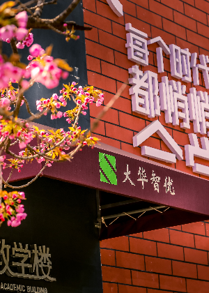 西安大华智优全日制补习学校