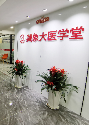 西安藏象中医职业技能培训中心