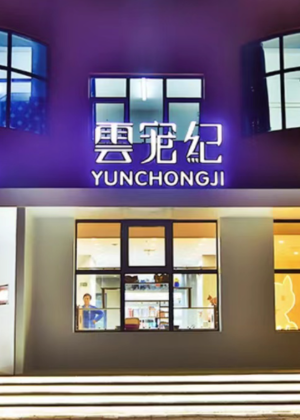 郑州雲宠宠物美容师培训机构