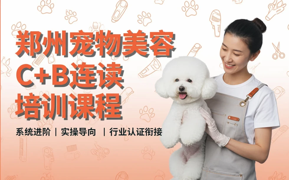 郑州宠物美容C+B连读培训课程