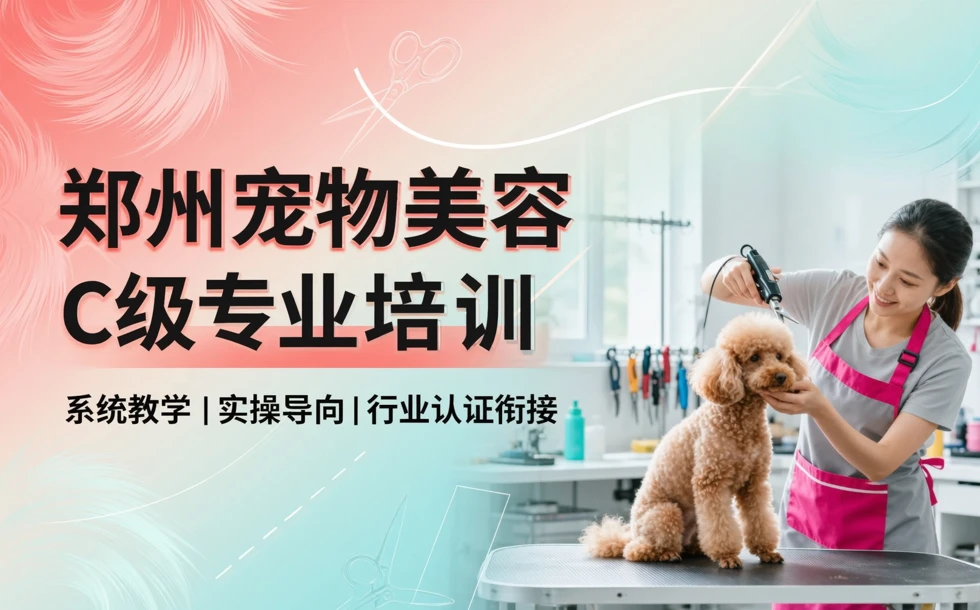 郑州宠物美容C级专业培训课程