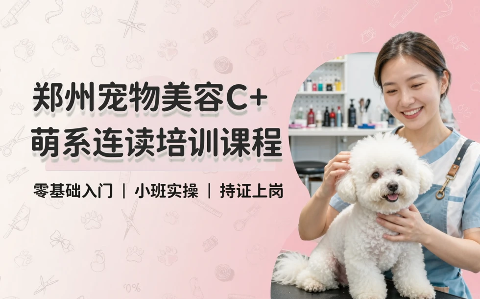 郑州宠物美容C+萌系连读培训课程