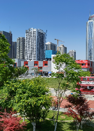 西安清阳松光留学申请