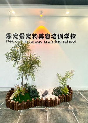 郑州深爱宠物美容培训学院