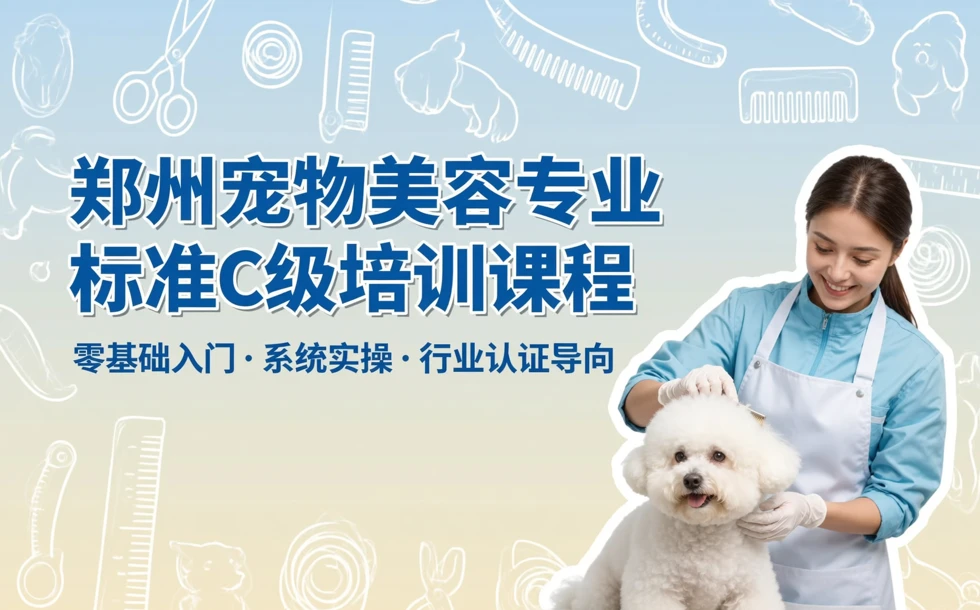 郑州宠物美容专业标准C级培训课程