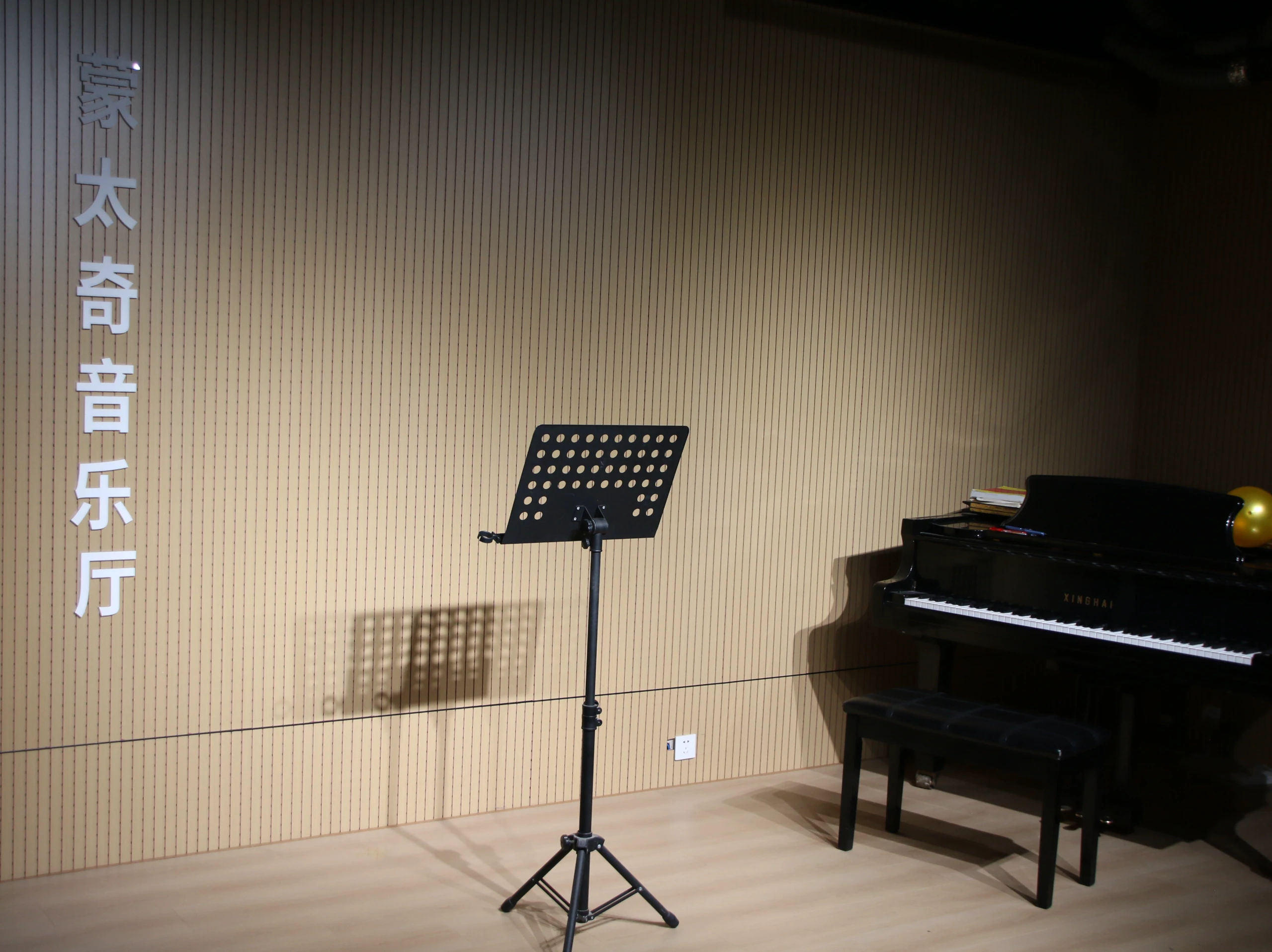 专业音乐厅教学环境