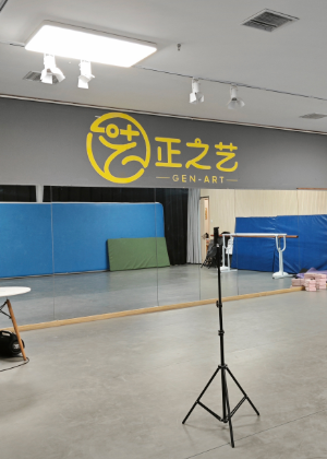 苏州正之艺艺术学院