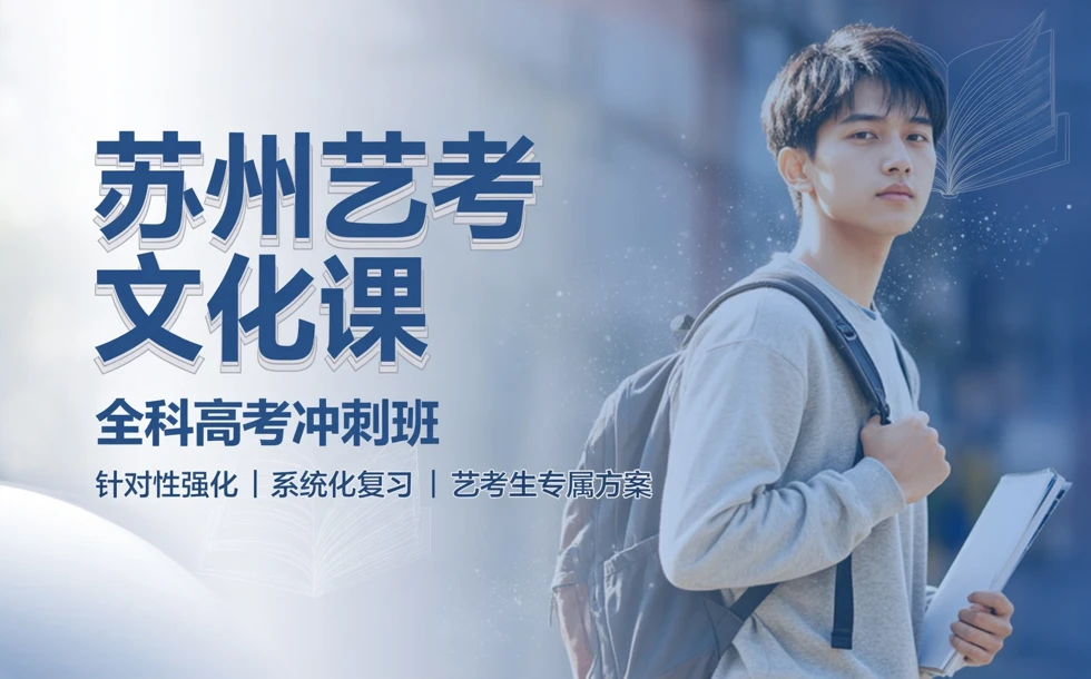 苏州艺考文化课全科高考冲刺班