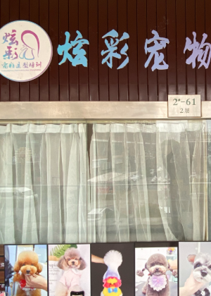 苏州炫彩宠物美容培训学院