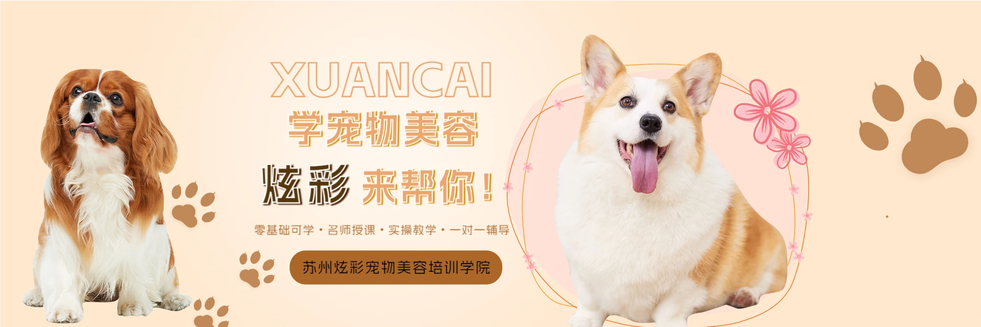 苏州炫彩宠物美容培训学院