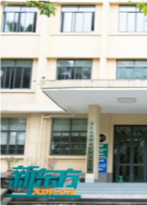 重庆新东方高考学校