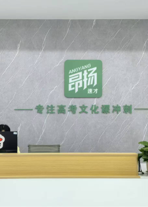 重庆昂扬艺考学校