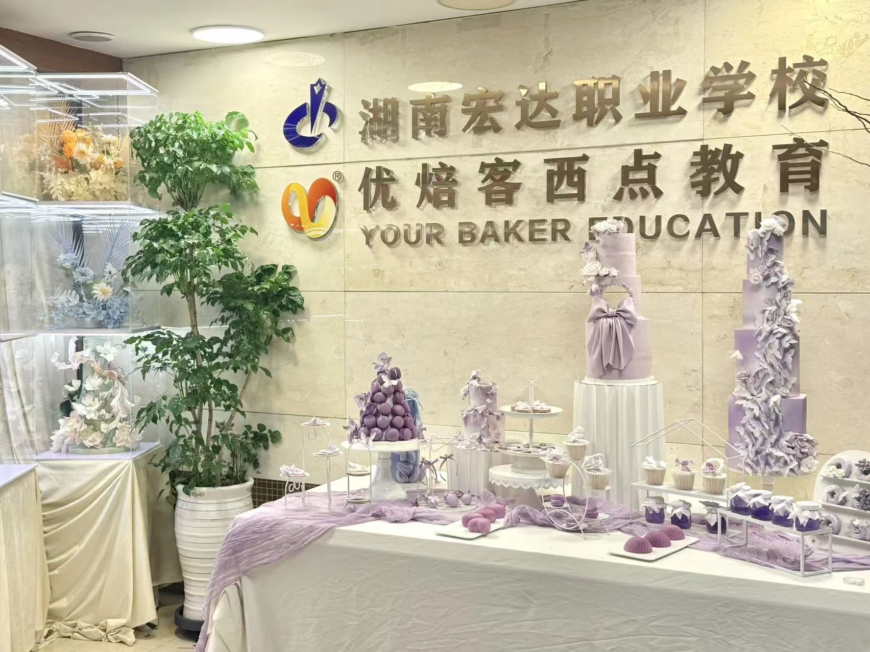 展示区