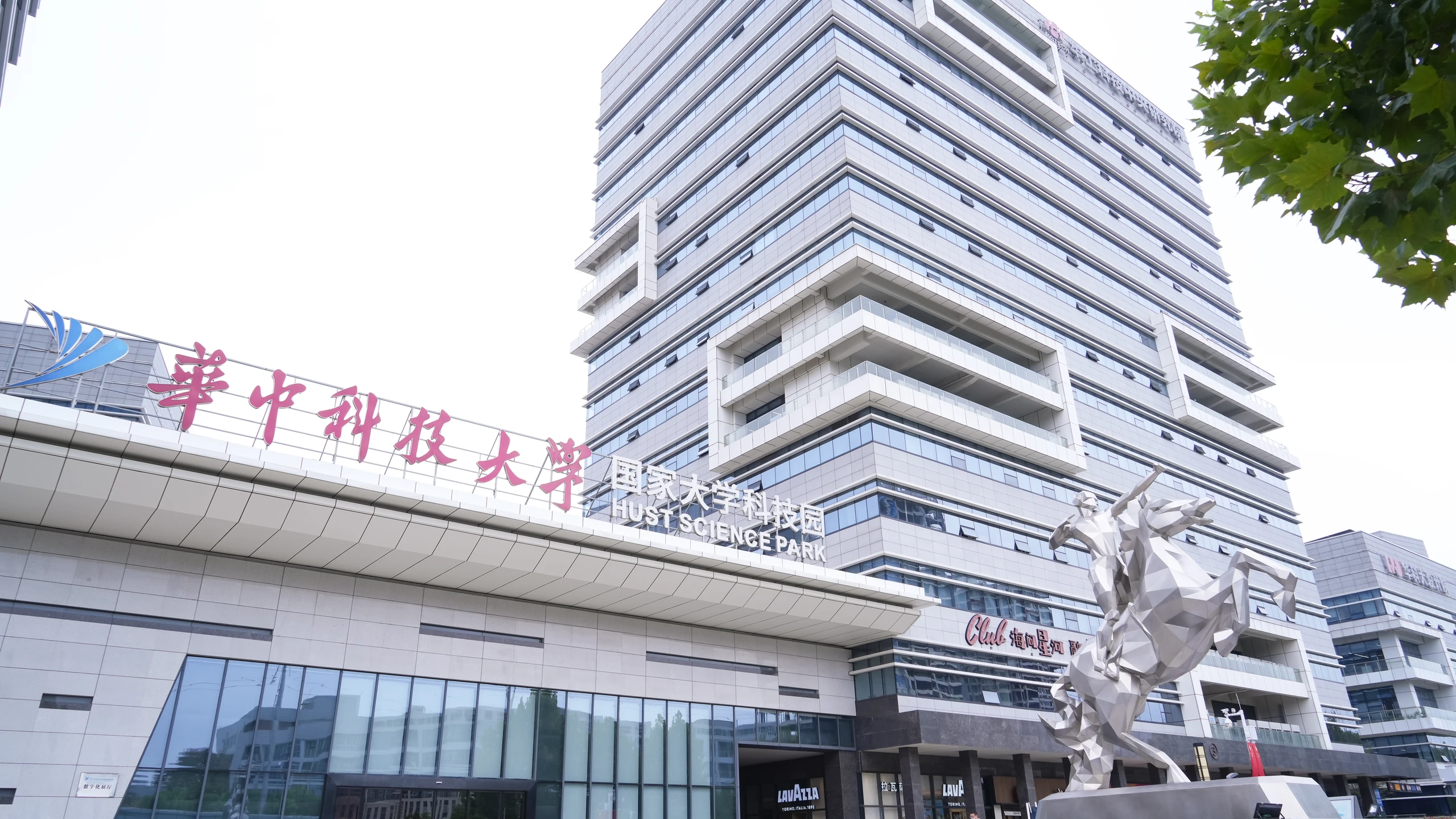 大门外观