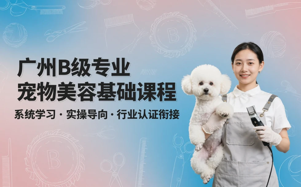 广州B级专业宠物美容基础课程